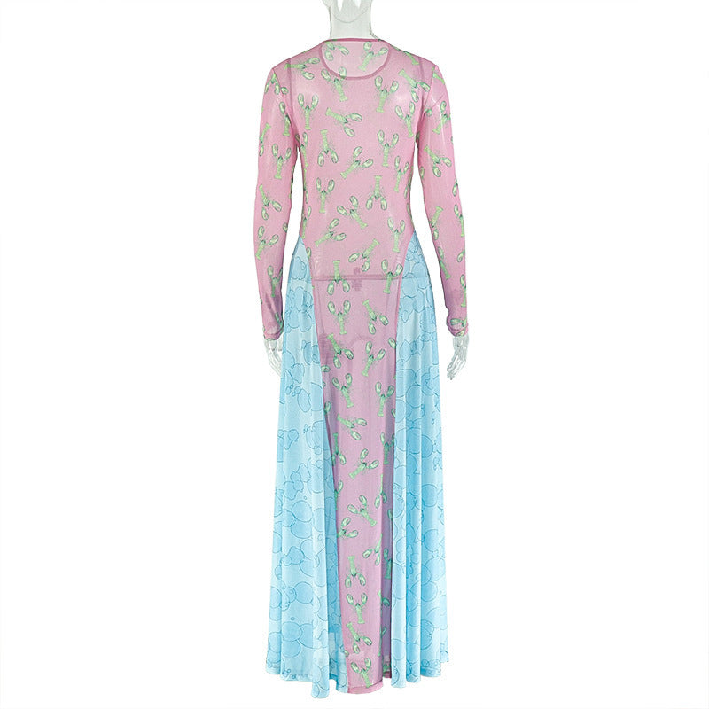 Long sleeve print crewneck mesh maxi dress  | Festival Outfits Women