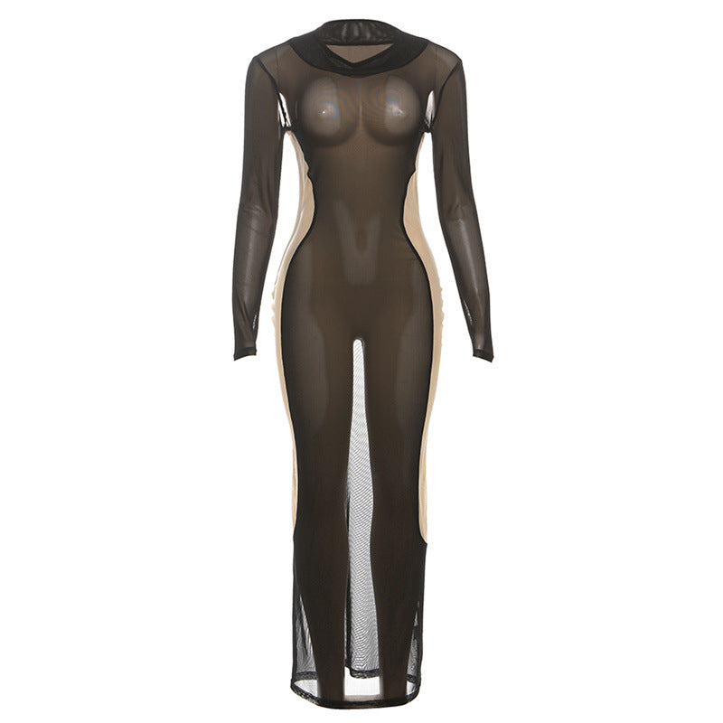 Sheer mesh long sleeve crewneck maxi dress  | Festival Outfits Women