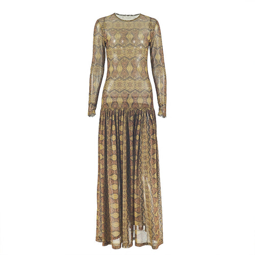 Mesh long sleeve crewneck print maxi dress  | Festival Outfits Women